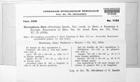 Erysiphe berberidis image